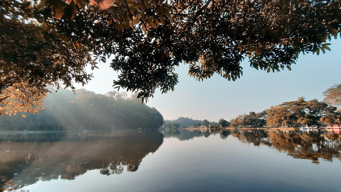 Lago tranquilo reflejando árboles y cielo al amanecer.